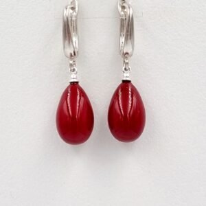 Sidabriniai auskarai