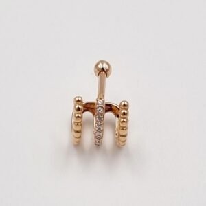 Auksinis pirsingo auskaras į ausį